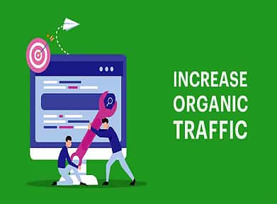 Organic Traffic To Your Blog