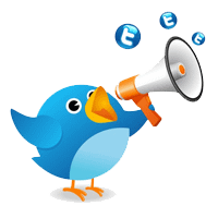 Twitter Marketing Services in India - Digital Strategy Consultants